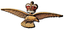 Listing image for RAF Pilot Wings Eagle and Crown Pin Badge - MOD Licensed